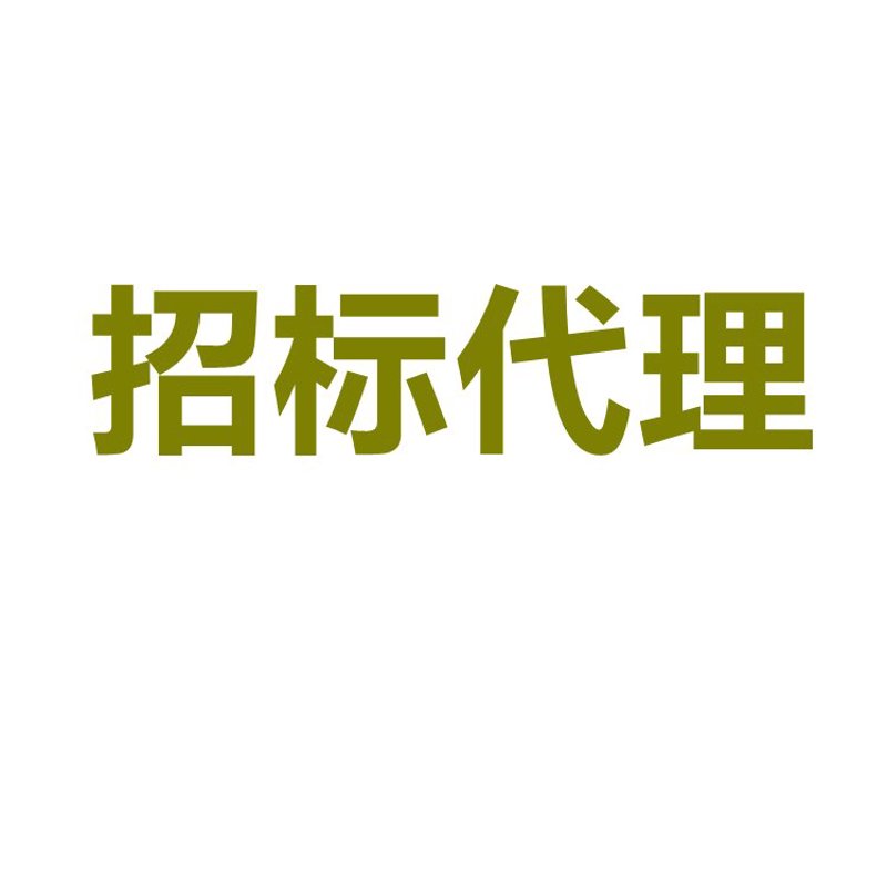 广西招标代理：推动区域经济发展的新引擎