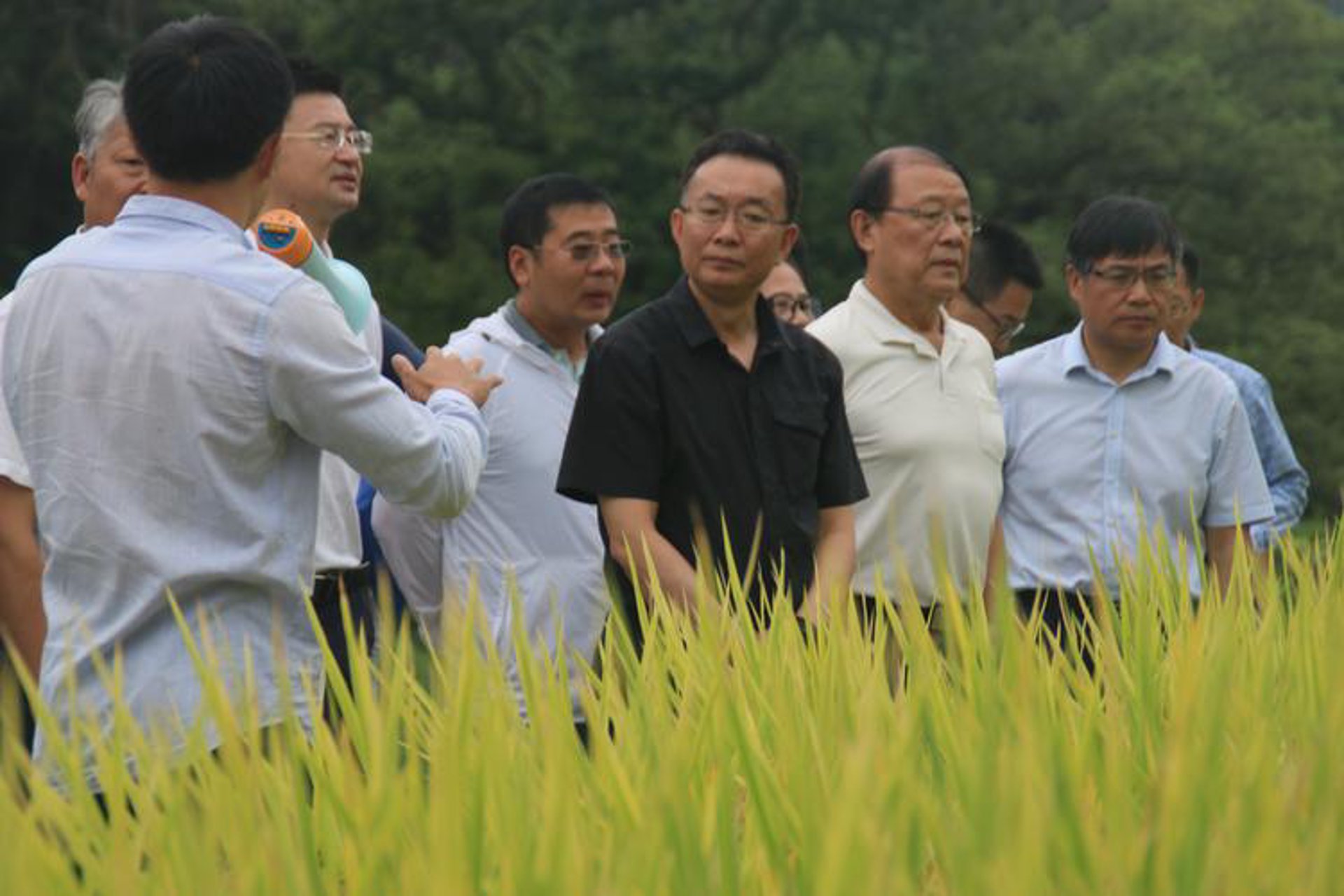 大中招标
